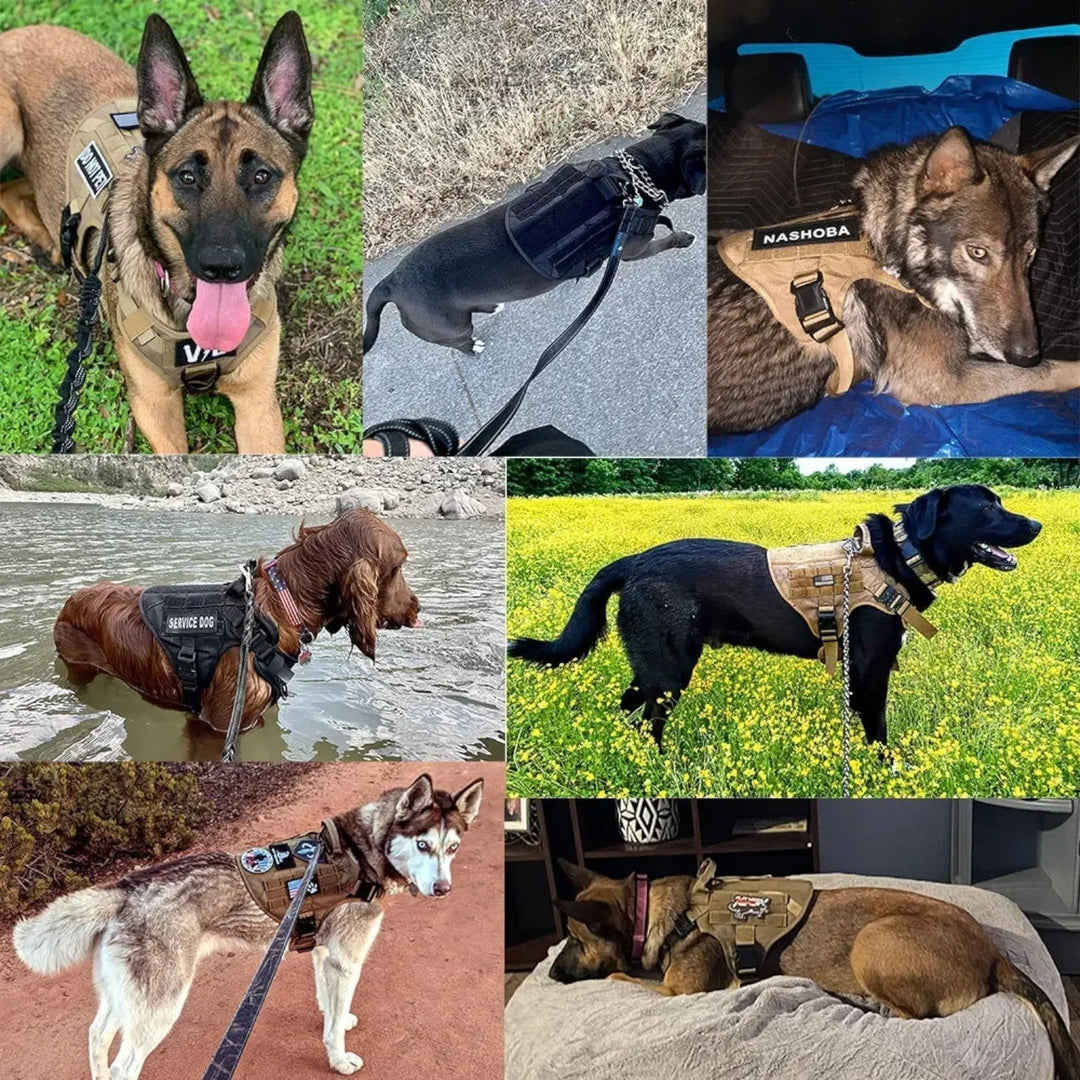 KrachtGrip Dog Harness – Adjustable Tactical Harness for Training &amp; Walks