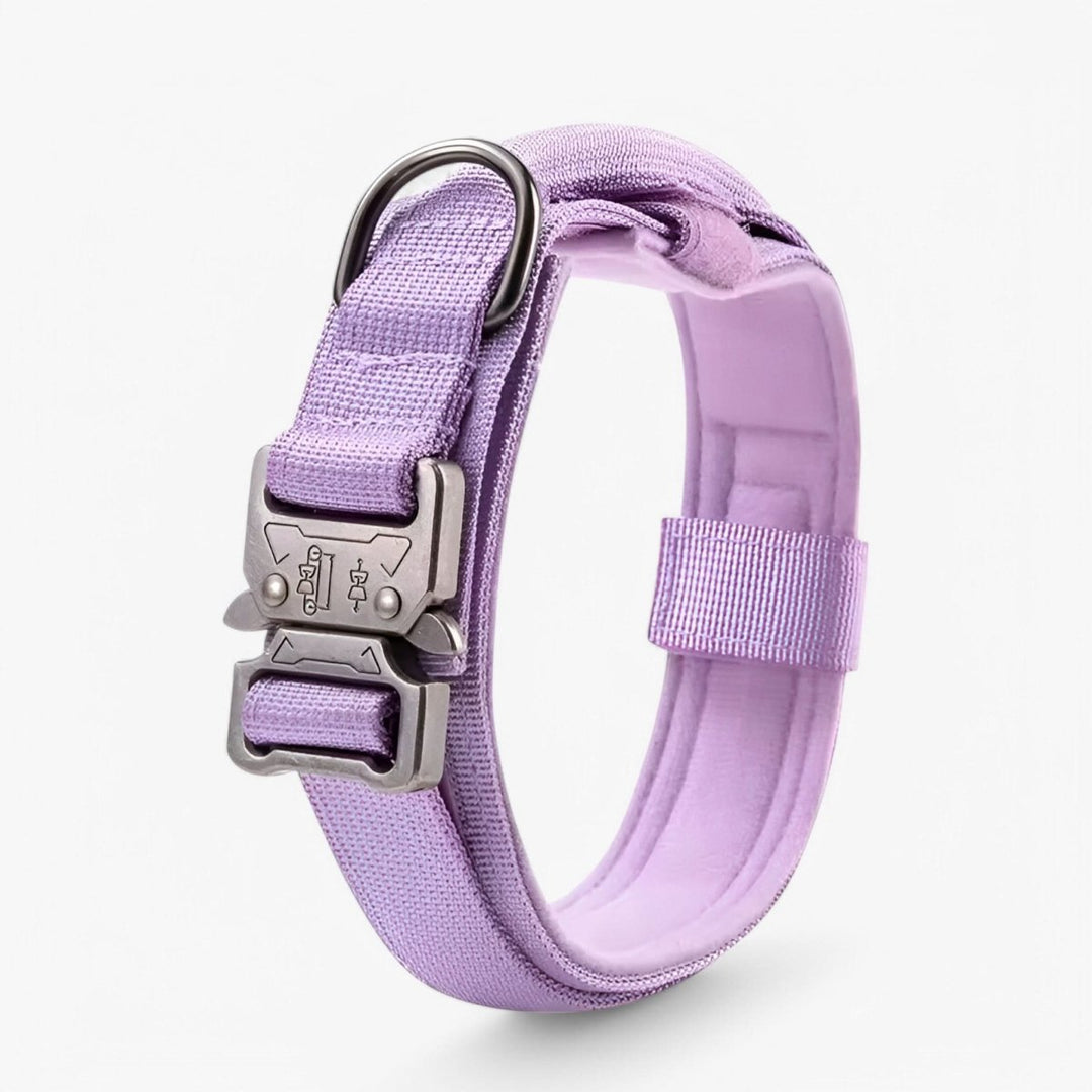 Durable &amp; Adjustable Collar for Training &amp; Everyday Use
