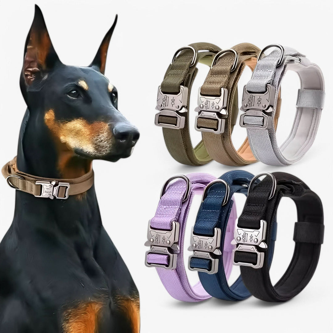 OutdoorHeld Dog Collar – For active dogs with endurance