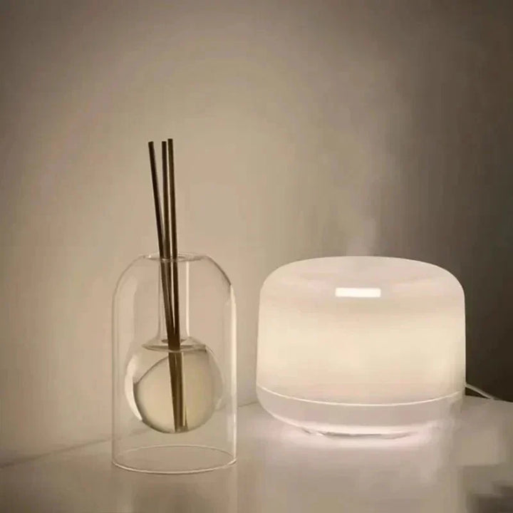 Double-walled fragrance diffuser bottle – Stylish aroma diffuser for home