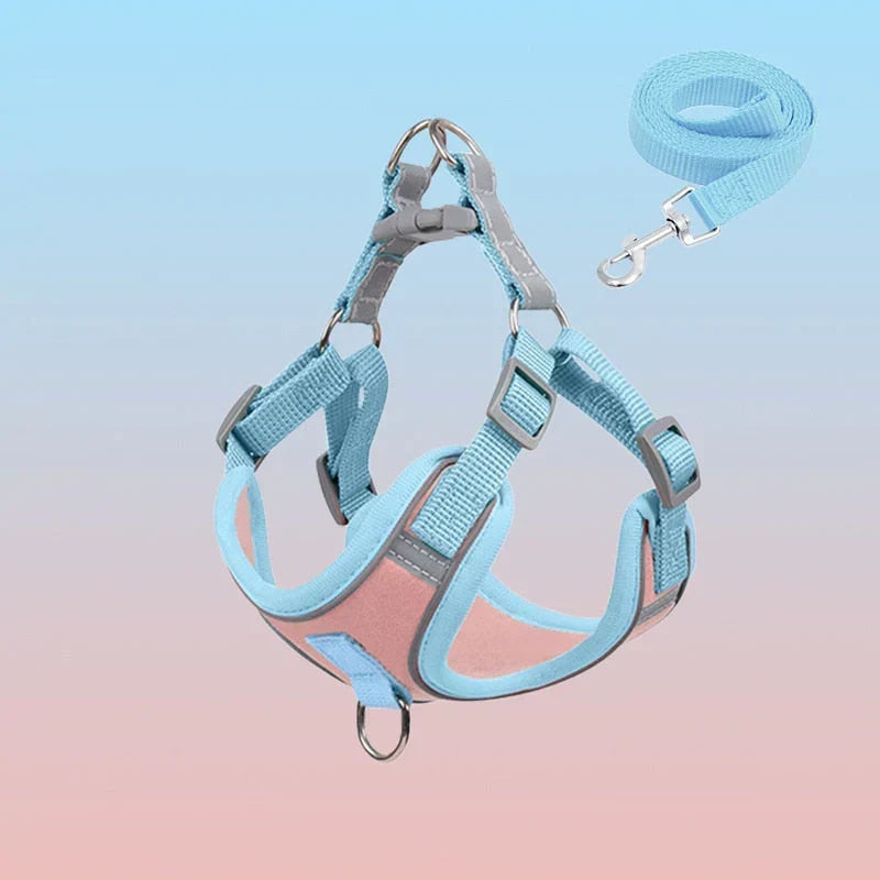 Reflective Puppy Harness – PawSafe