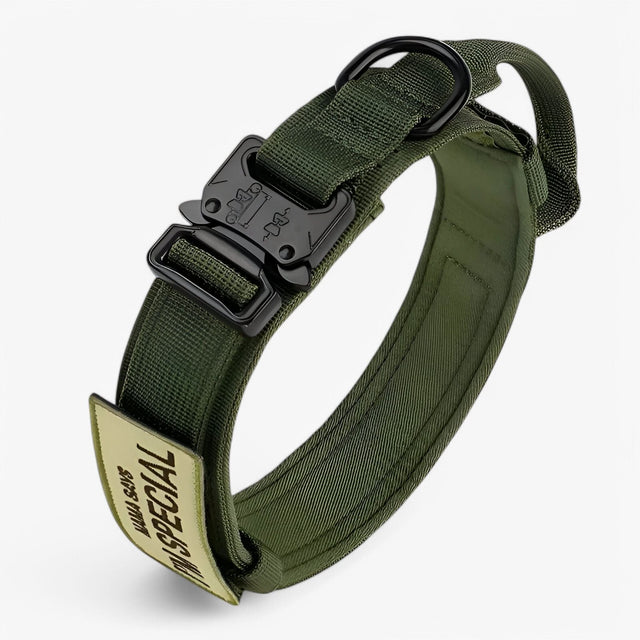 OutdoorHeld Dog Collar – For active dogs with endurance