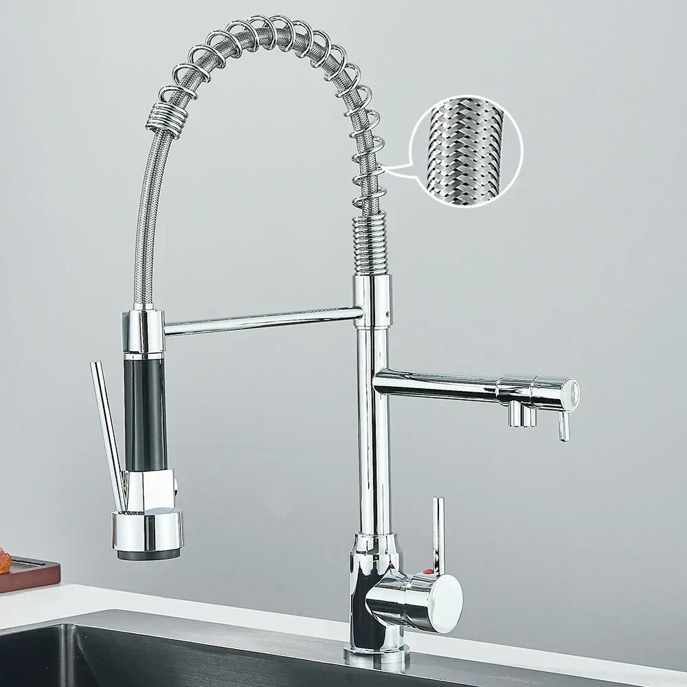 SpringFlow – Kitchen faucet with dual outlet