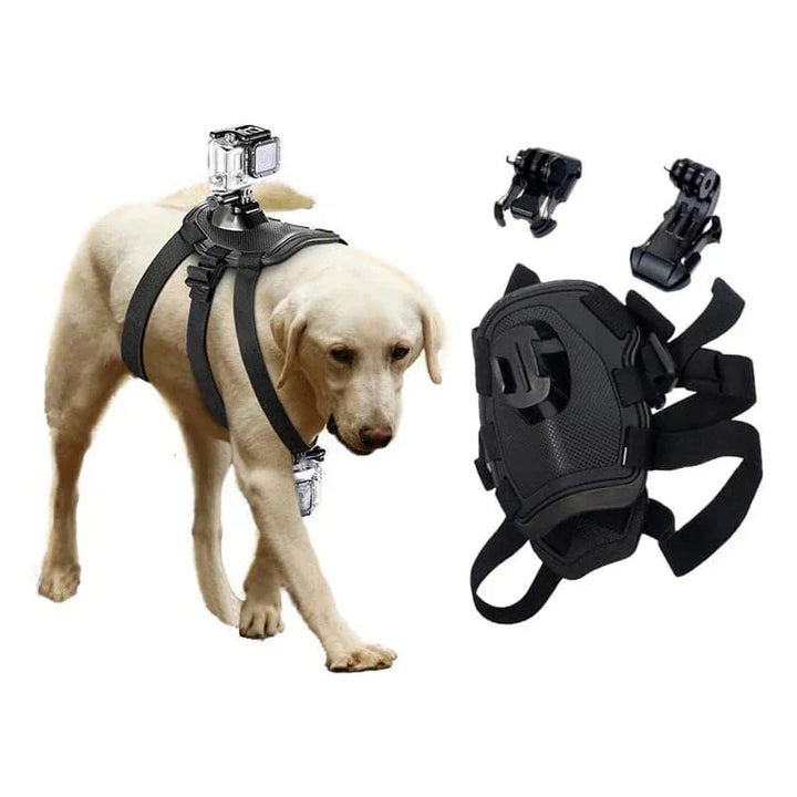 Action-Cam Dog Harness with 360° Perspective