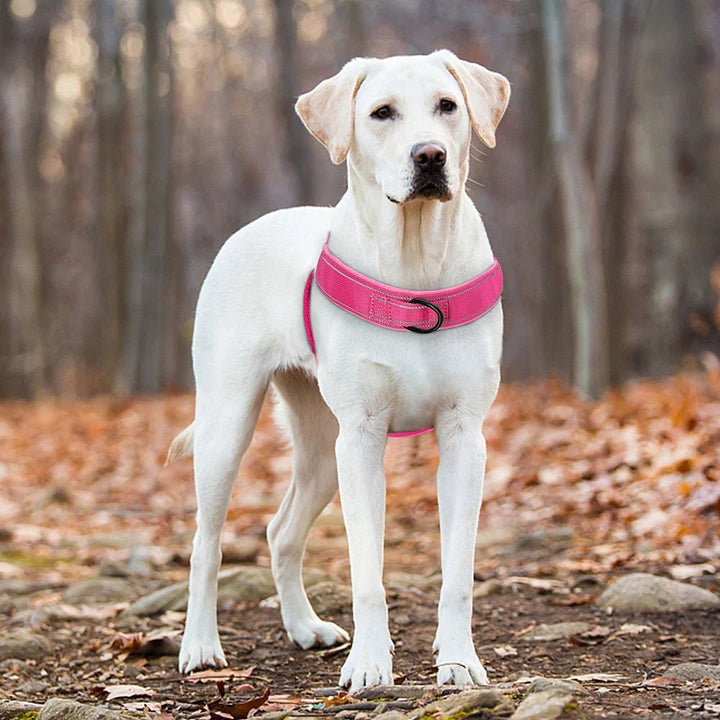 Adjustable Reflective Dog Harness with Handle for All Dog Breeds