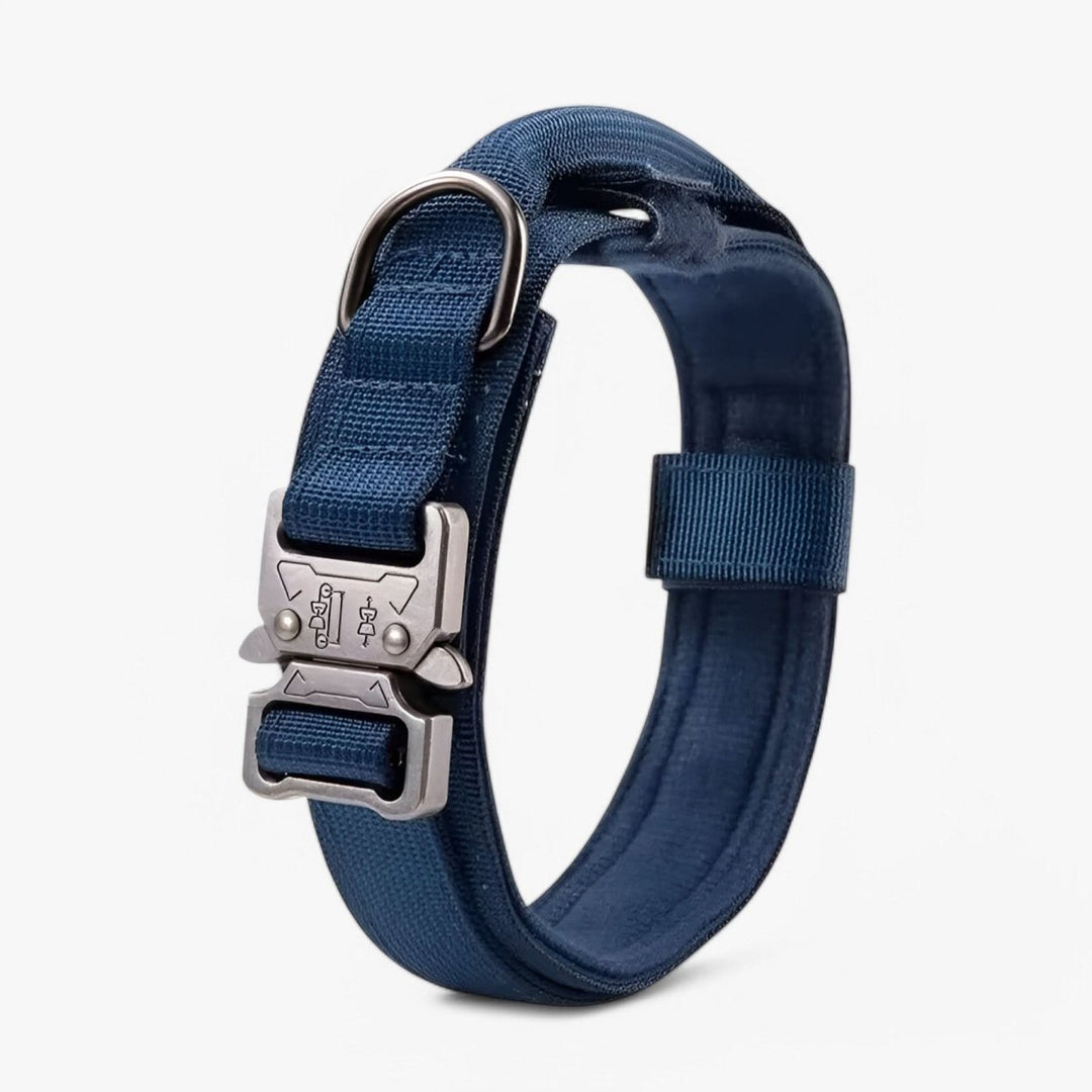 Durable &amp; Adjustable Collar for Training &amp; Everyday Use