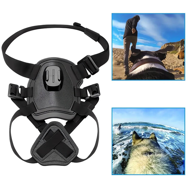 Action-Cam Dog Harness with 360° Perspective