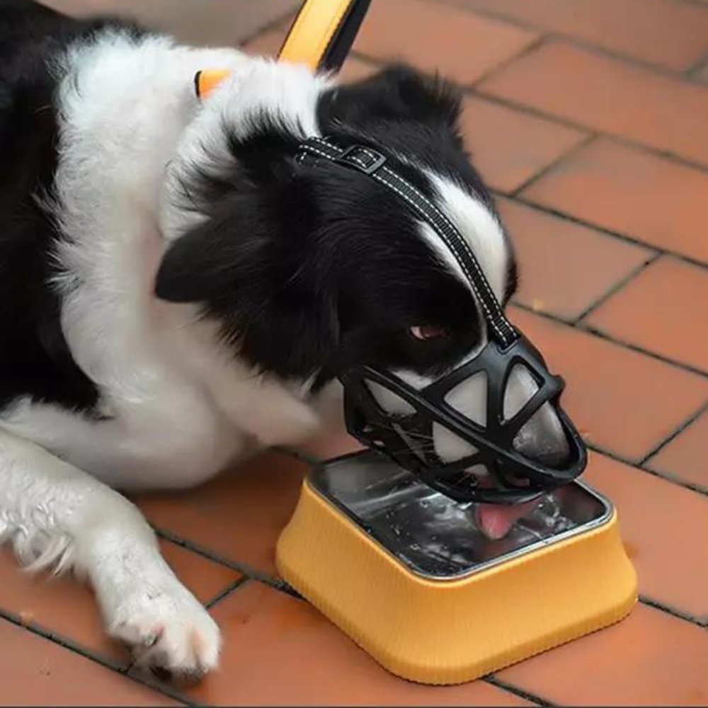 SafeBark Dog Muzzle – Effective Anti-Bite and Anti-Bark Solution, Breathable and Comfortable |