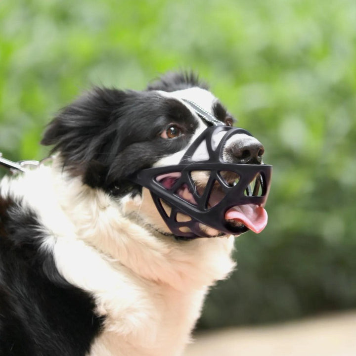 SafeBark Dog Muzzle – Effective Anti-Bite and Anti-Bark Solution, Breathable and Comfortable |