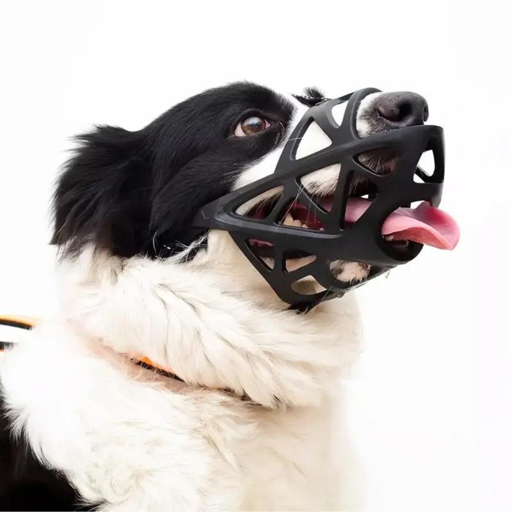 SafeBark Dog Muzzle – Effective Anti-Bite and Anti-Bark Solution, Breathable and Comfortable |