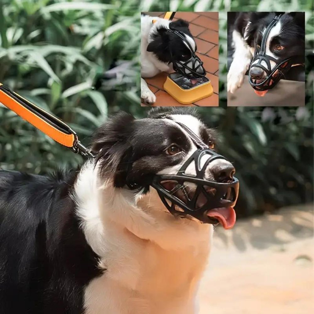 SafeBark Dog Muzzle – Effective Anti-Bite and Anti-Bark Solution, Breathable and Comfortable |