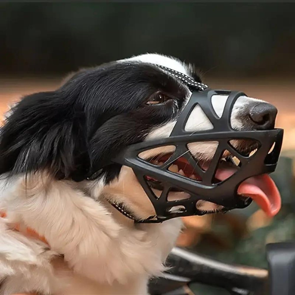 SafeBark Dog Muzzle – Effective Anti-Bite and Anti-Bark Solution, Breathable and Comfortable |