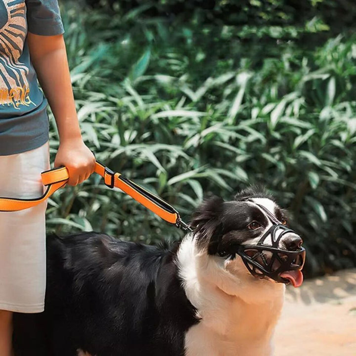 SafeBark Dog Muzzle – Effective Anti-Bite and Anti-Bark Solution, Breathable and Comfortable |