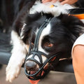 SafeBark Dog Muzzle – Effective Anti-Bite and Anti-Bark Solution, Breathable and Comfortable |