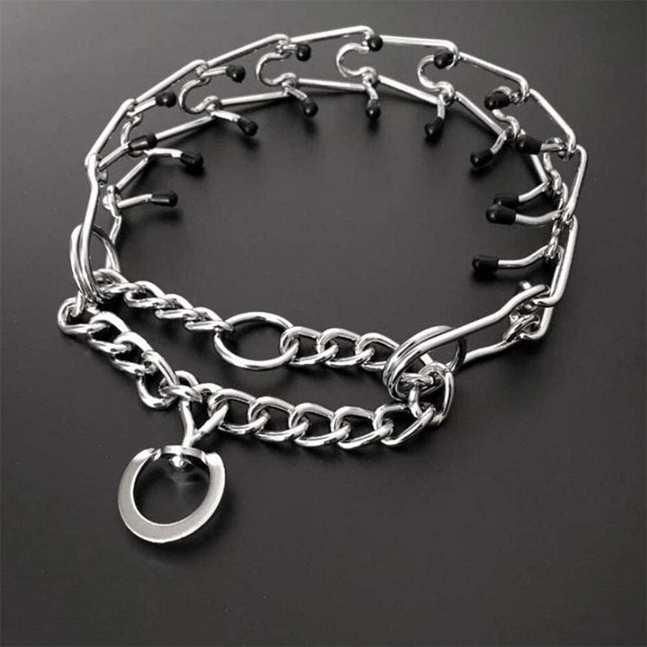 Dog Pincher Collar - Stylish B