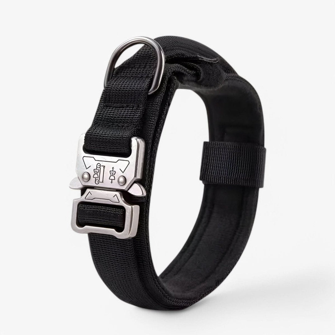 Durable &amp; Adjustable Collar for Training &amp; Everyday Use