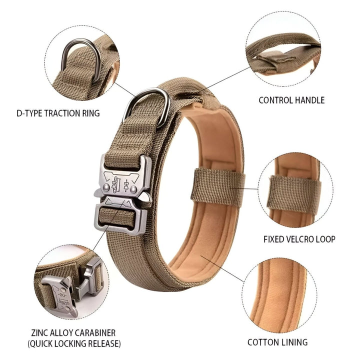 Durable &amp; Adjustable Collar for Training &amp; Everyday Use