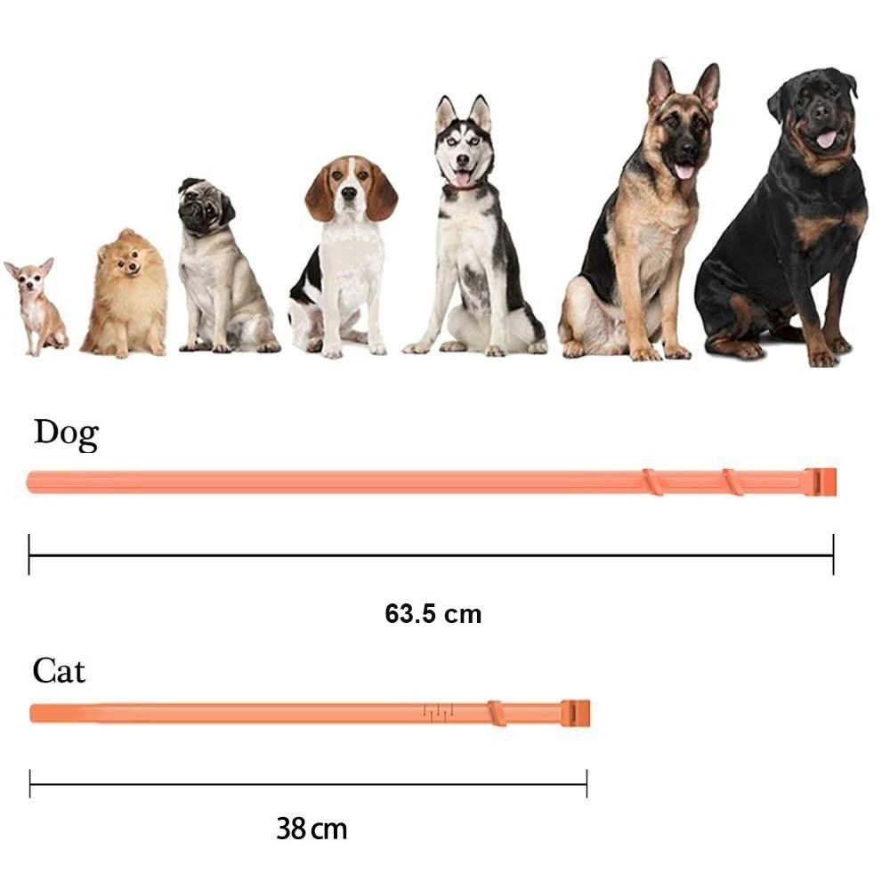 Flea &amp; Tick Protection Collar for Dogs &amp; Cats