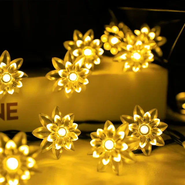 Peach Blossom Fairy Lights