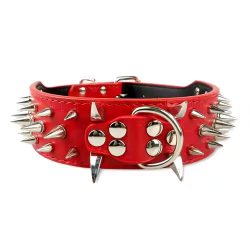 Dog collar with studs for large dogs