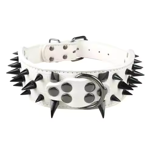 Dog collar with studs for large dogs