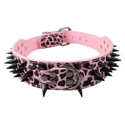 Dog collar with studs for large dogs