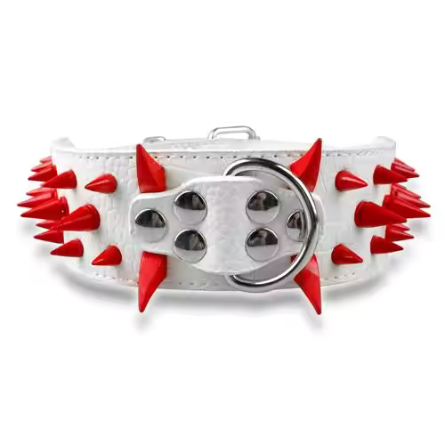 Dog collar with studs for large dogs