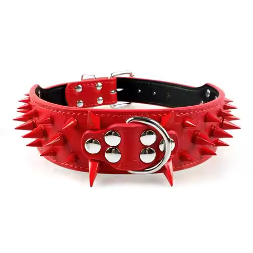 Dog collar with studs for large dogs