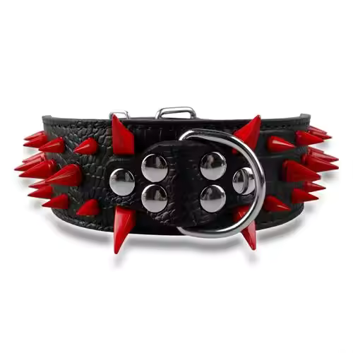 Dog collar with studs for large dogs
