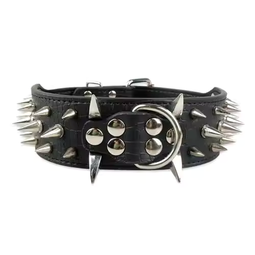 Dog collar with studs for large dogs