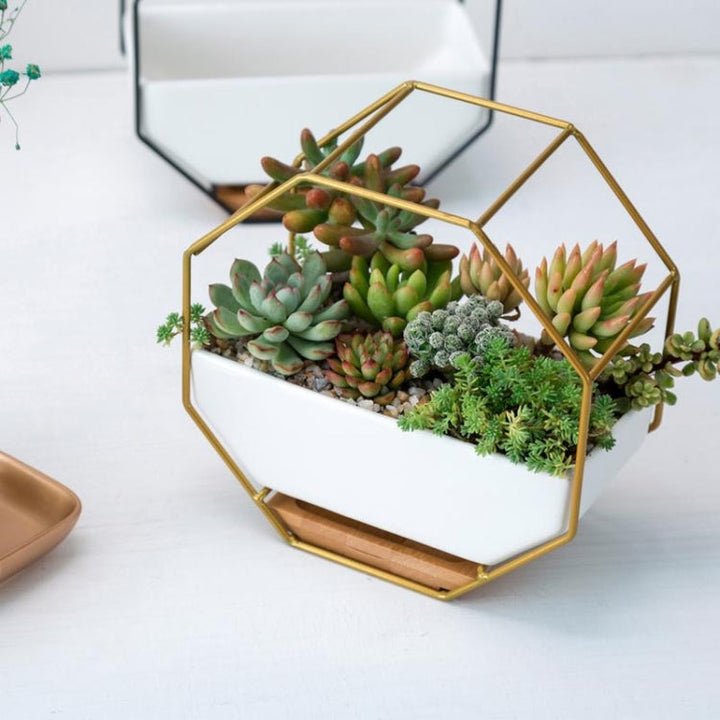 Simple octagonal geometric wall hanging table succulent plate bamboo support iron frame flower pot (black)