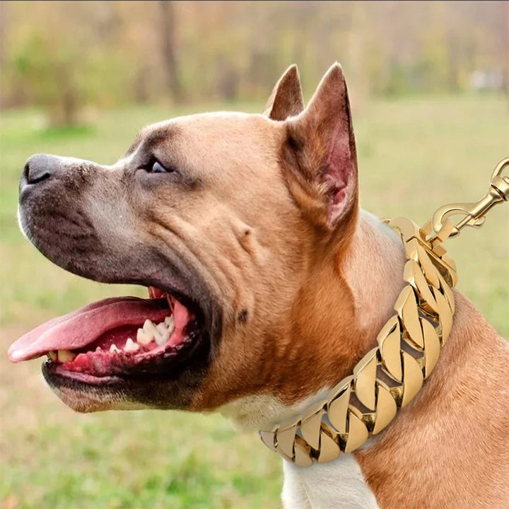 Strength Neck Metal Dog Collar – Sturdy Stainless Steel Collar for Large Dogs