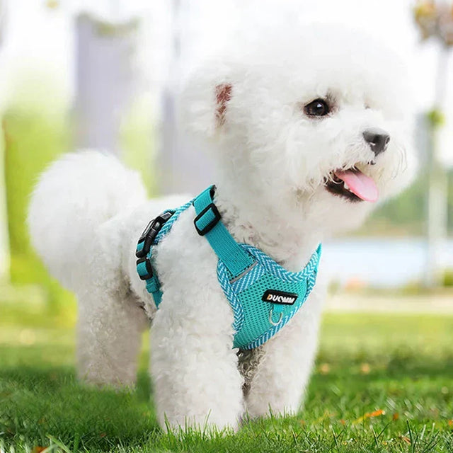Reflective Dog Harness and Leash Set for Small Dogs – SafeStep
