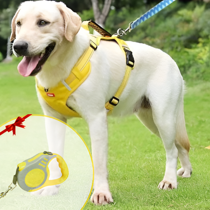 Anti-Trek Dog Harness - FlexiFit
