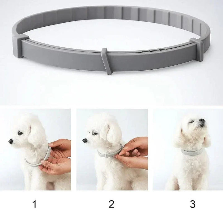 FLASHIELD COLLAR – Herbal flea &amp; tick protection collar for dogs &amp; cats