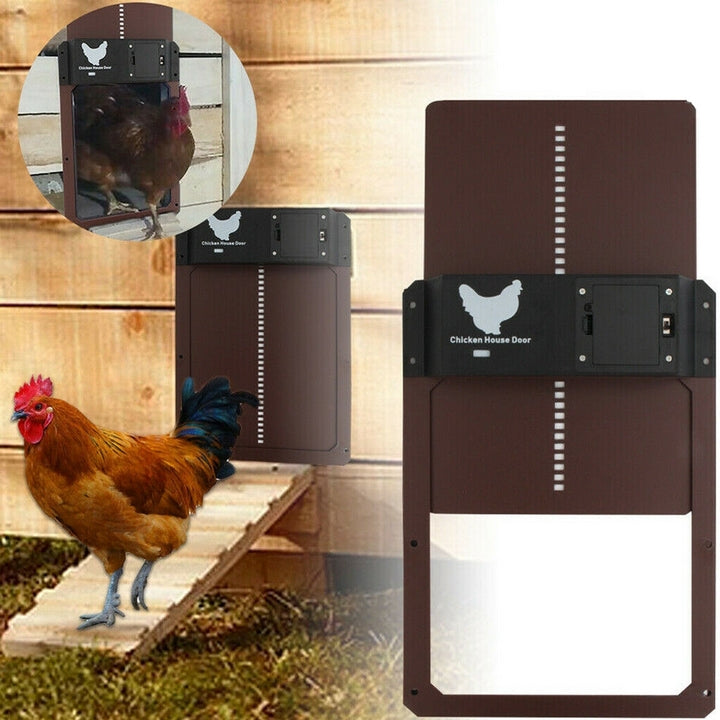 Poultry PRO+ | Automatic Chicken Door