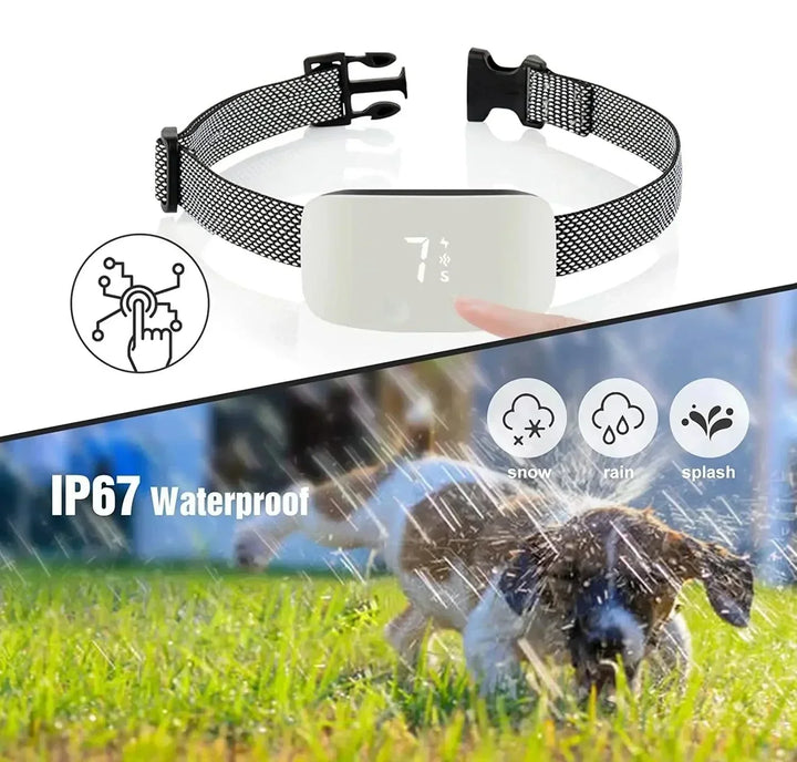 StilPoot Dog Training Collar Rechargeable and Waterproof |