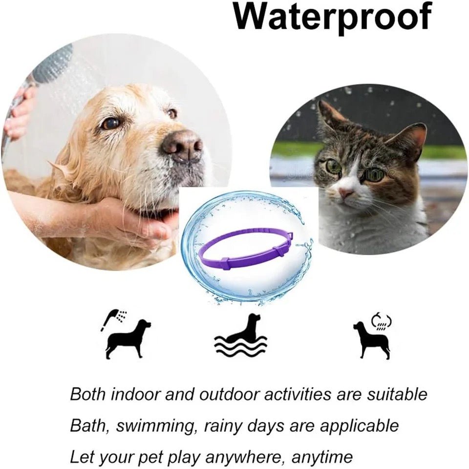 Calmdog – Natural Calming Collar for Dogs with Pheromones and Essential Oils