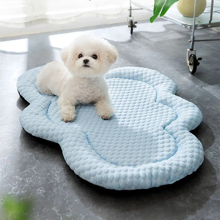 CLOUDCOOL – Breathable Cooling Mat for Dogs on Hot Days