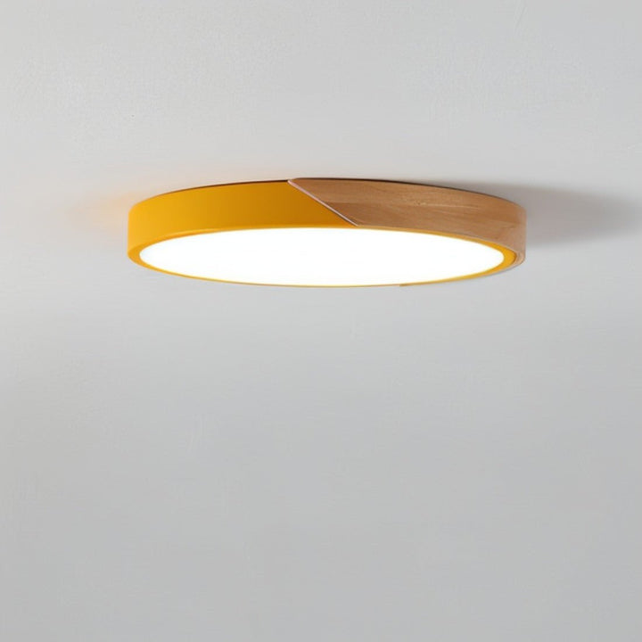 Modern LED Ceiling Light - Minimalist Lighting for Your Interior