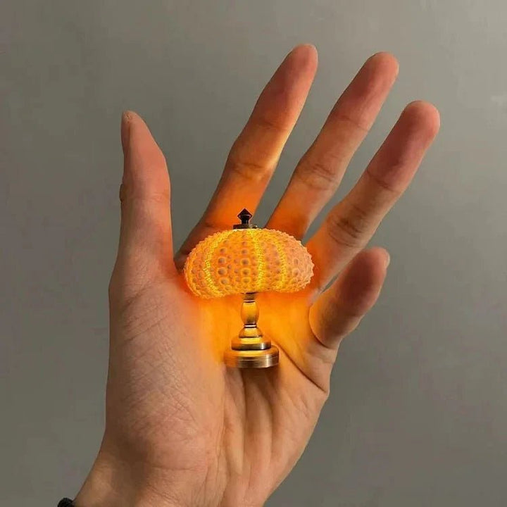 DIY Sea Urchin Night Light - LumiUrchin |