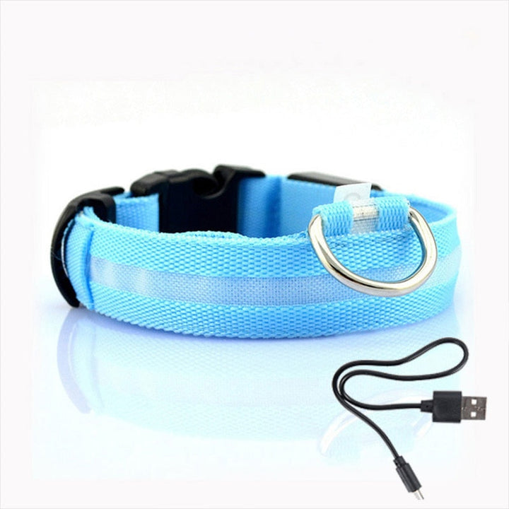 Dog collar with LED lighting - GlowCollar