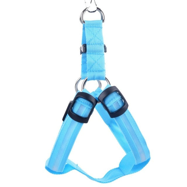 Dog harness with LED - Glow&amp;Go