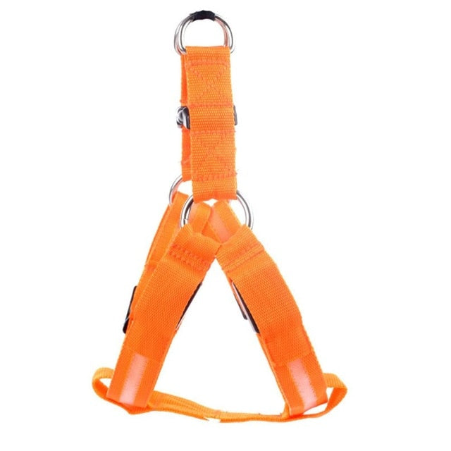 Dog harness with LED - Glow&amp;Go