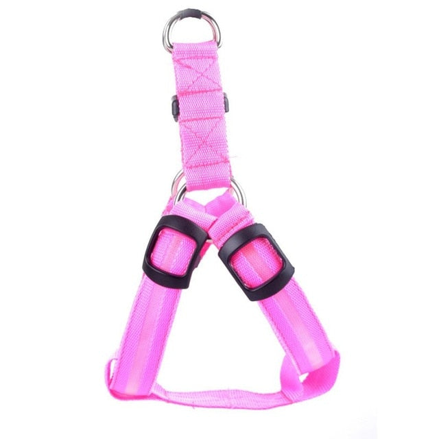 Dog harness with LED - Glow&amp;Go