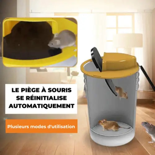 Flip &amp; Slide - Mouse and Rat Trap