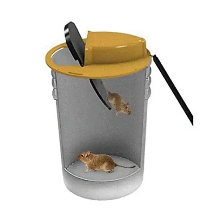 Flip &amp; Slide - Mouse and Rat Trap