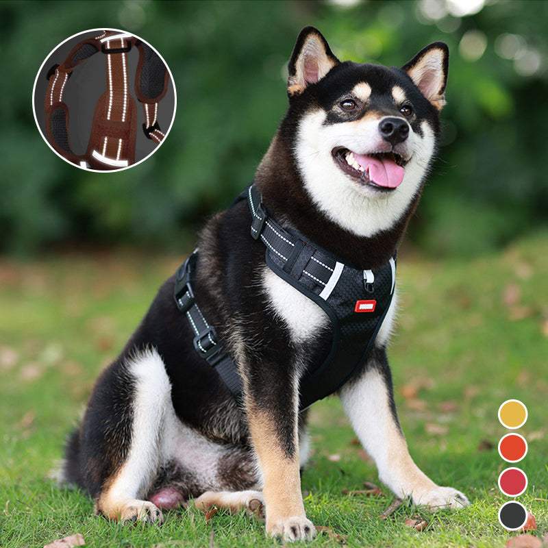 Reflective Dog Harness |