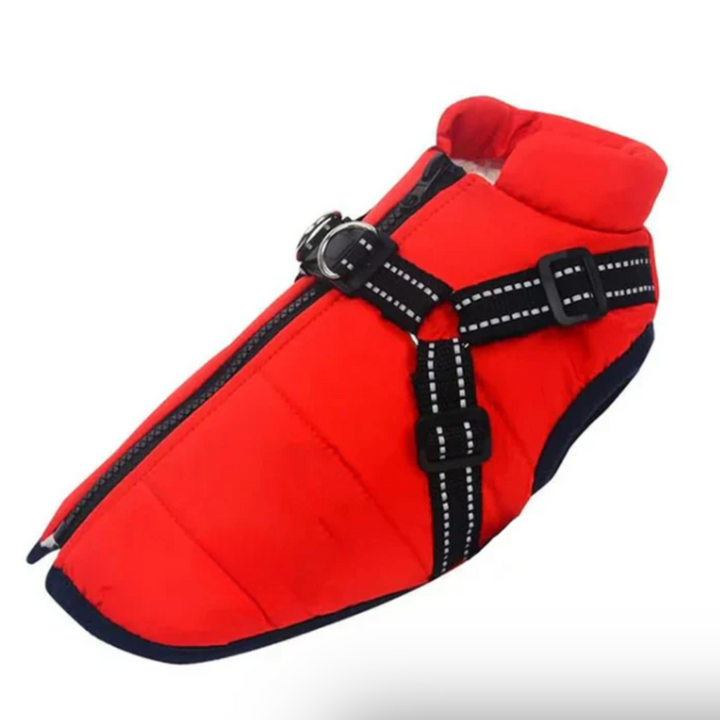 Dog Coat Harness Winter Walks