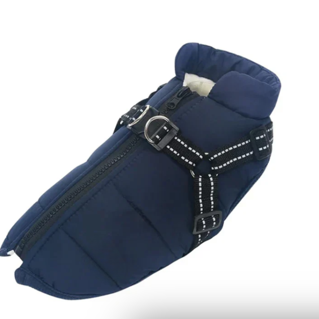 Dog Coat Harness Winter Walks